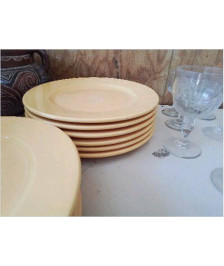 LOT 6 ASSIETTES JAUNES