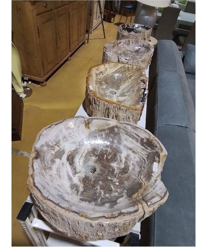 VASQUE BOIS FOSSILISE