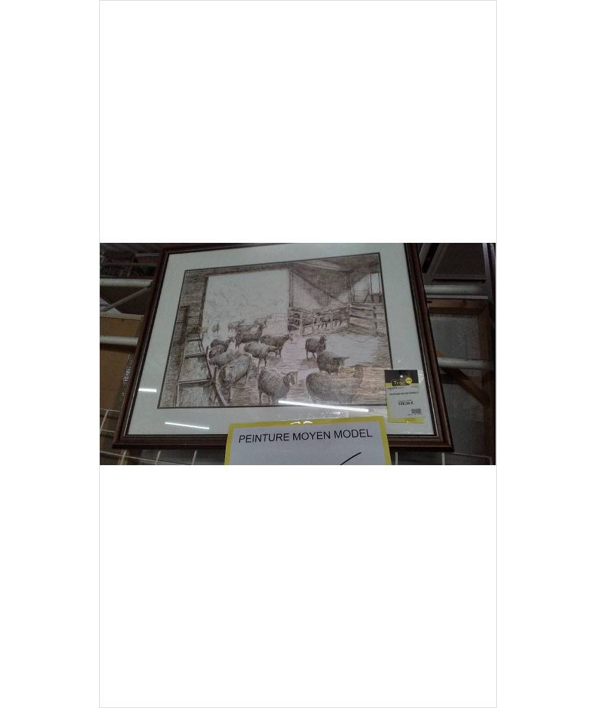 PEINTURE MOYEN MODELE