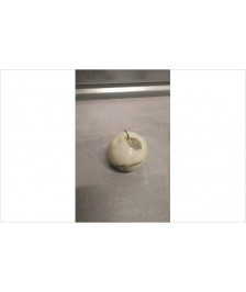 PORTE STYLO POMME 