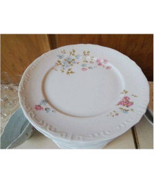 LOT DE 6 ASSIETTES EN PORCELAINE