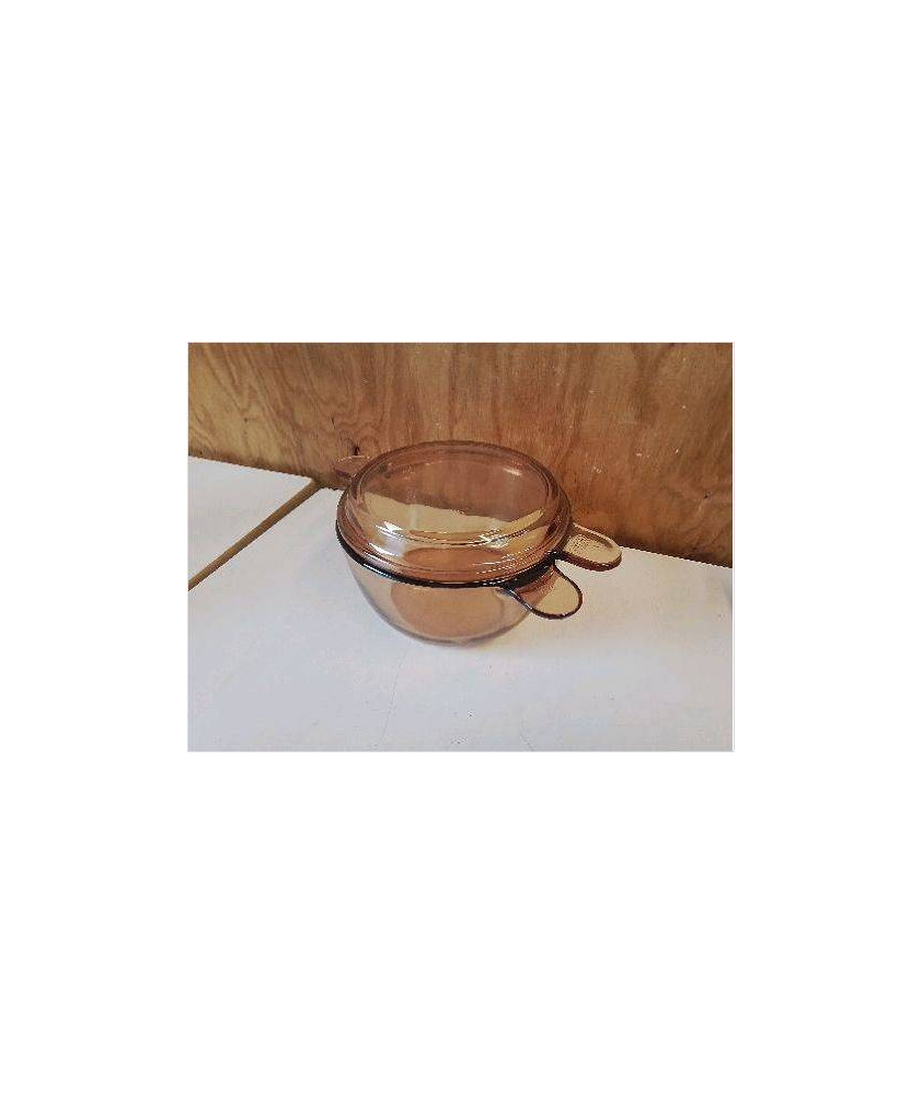 COCOTTE EN PYREX VISION 2,5L