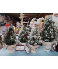 SAPIN V