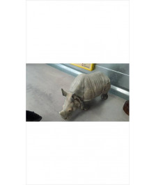 DECO RHINO
