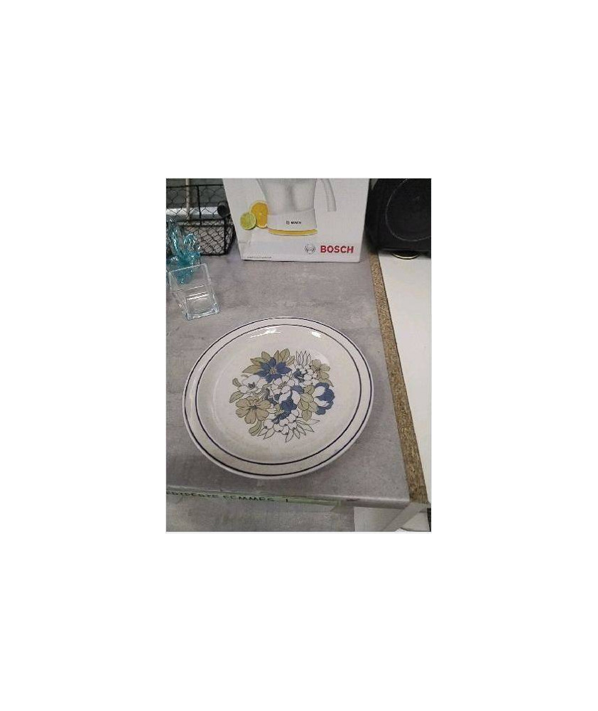 ASSIETTE DECO GRES 