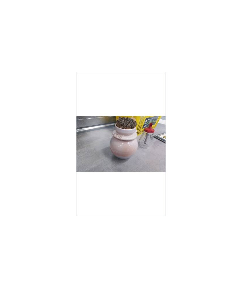 POT A OLIVES ROSE