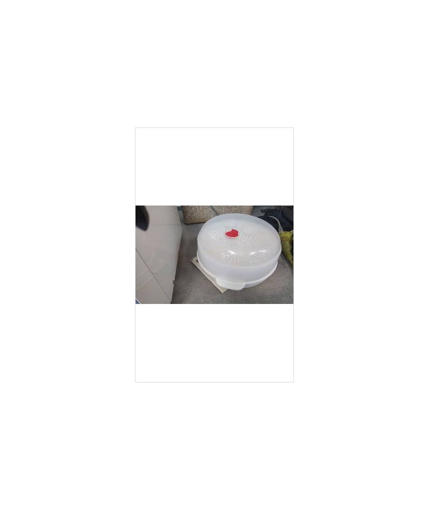 PLAT PLASTIQUE MO