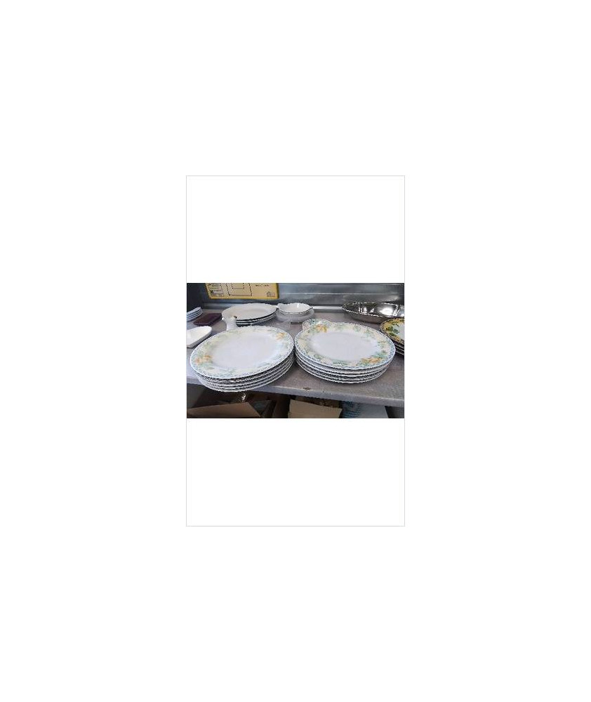 ASSIETTE LE LOT EN L’ETAT