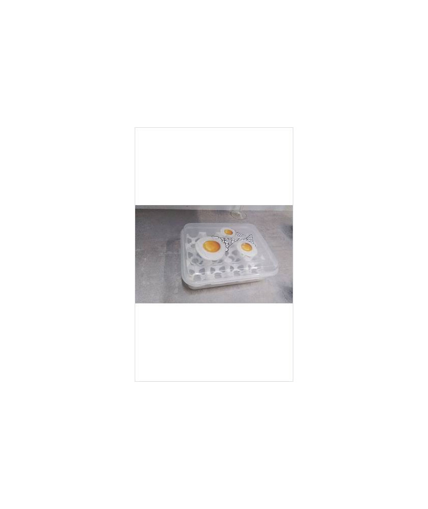 BOITE A OEUFS 