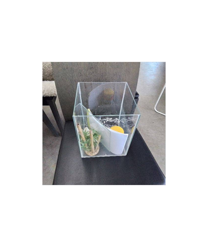 AQUARIUM