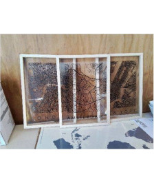 TABLEAU GÉOGRAPHIQUE 