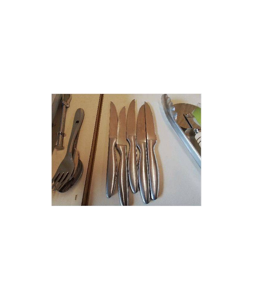 LOT DE 5 COUTEAUX A VIANDE 