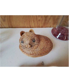 VIDE POCHE CHAT 