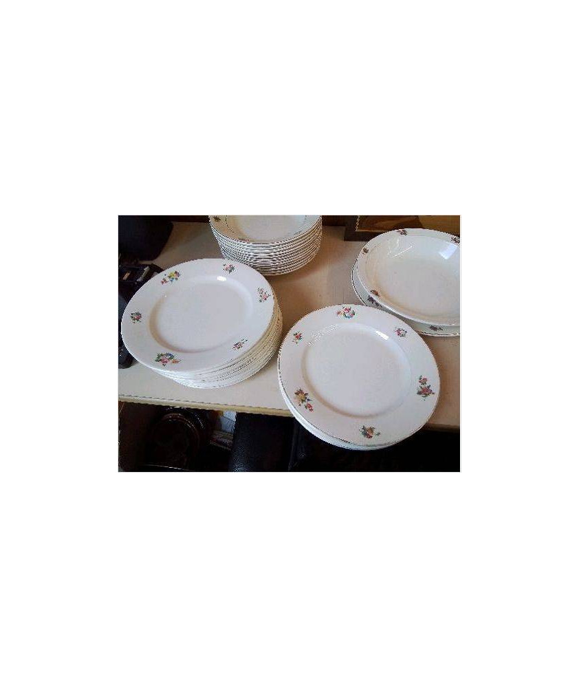 LOT DE 6 D’ASSIETTES PLATE FLORAL 