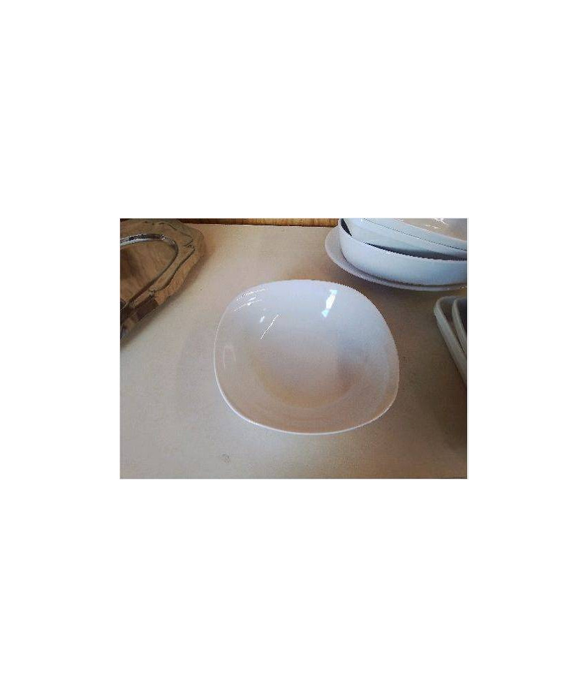 PLAT CREUX 