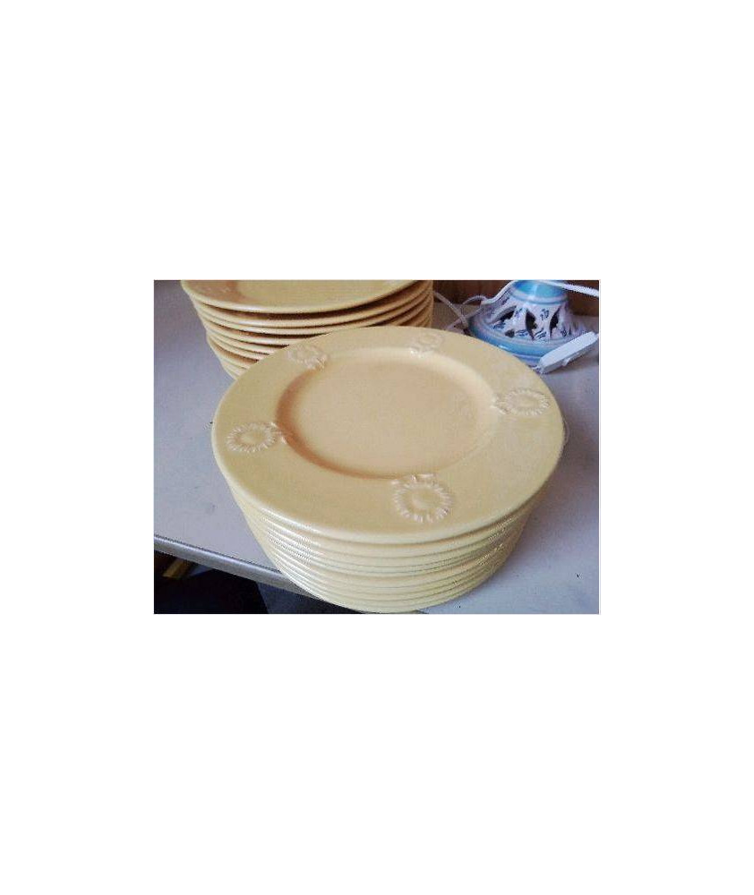 LOT DE 10 ASSIETTES A DESSERT