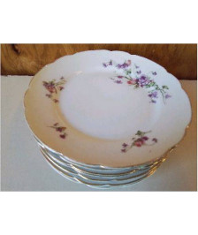 LOT DE 6 ASSIETTES EN PORCELAINE 