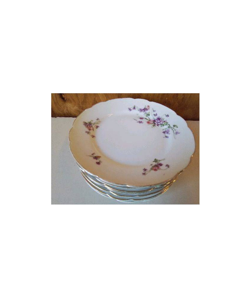LOT DE 6 ASSIETTES EN PORCELAINE 