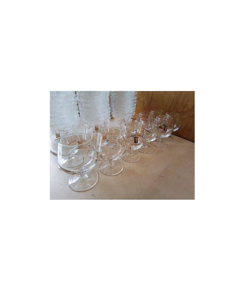 LOT DE 6 VERRES A COGNAC