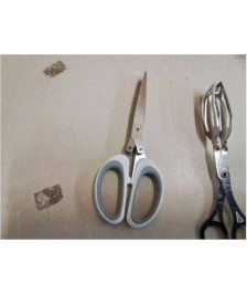 CISEAUX DE CUISINE 