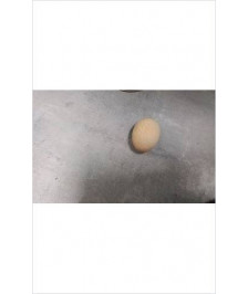 OEUF EN BOIS 