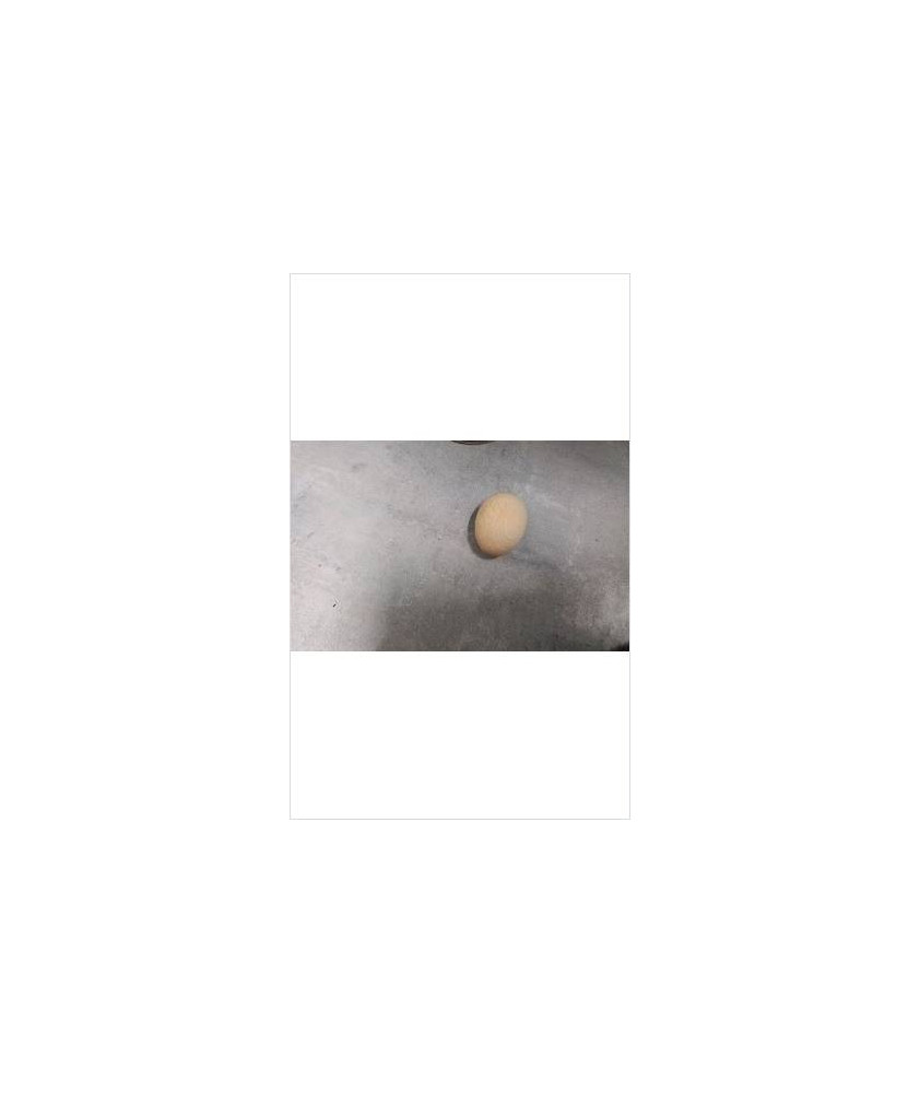 OEUF EN BOIS 