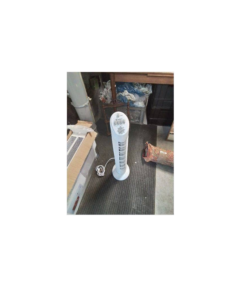 VENTILATEUR SUR PIED RESINE BLANC KING D’HOME