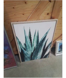 CADRE BOIS CLAIR CACTUS 