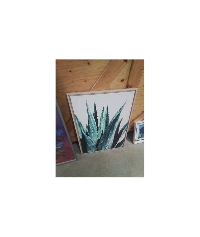 CADRE BOIS CLAIR CACTUS 