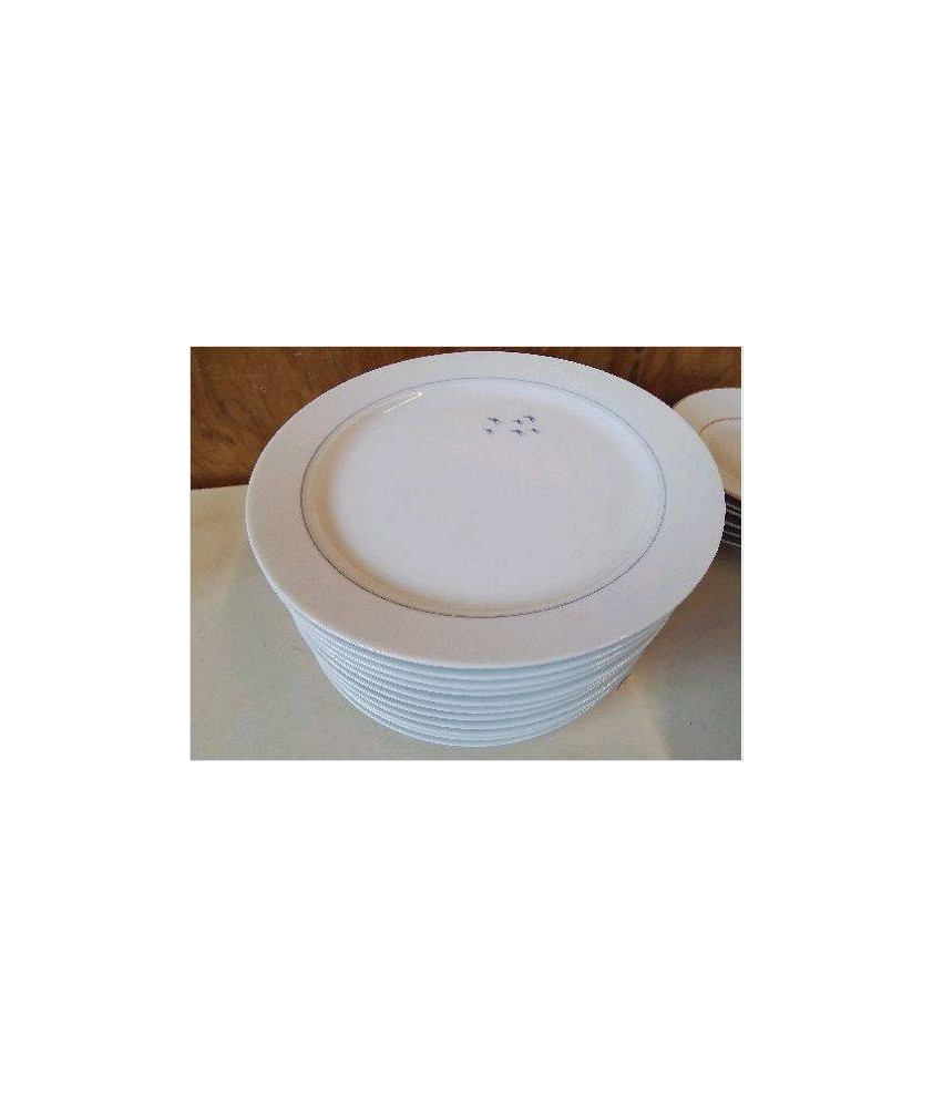 LOT DE 11 ASSIETTES 