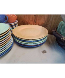 GRANDE ASSIETTE COLORÉE 