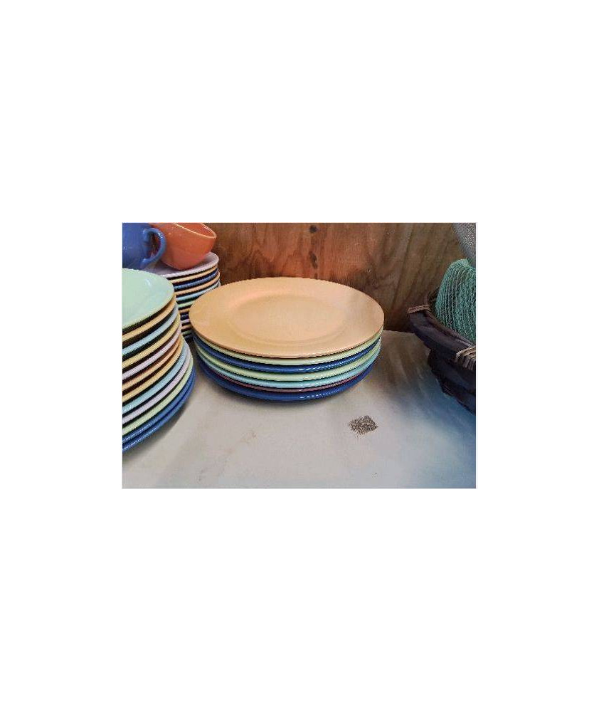 GRANDE ASSIETTE COLORÉE 