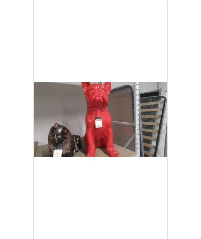 BULL YUKI ASSIS  80 CM