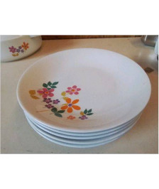 LOT 5 ASSIETTES ANNEE 70