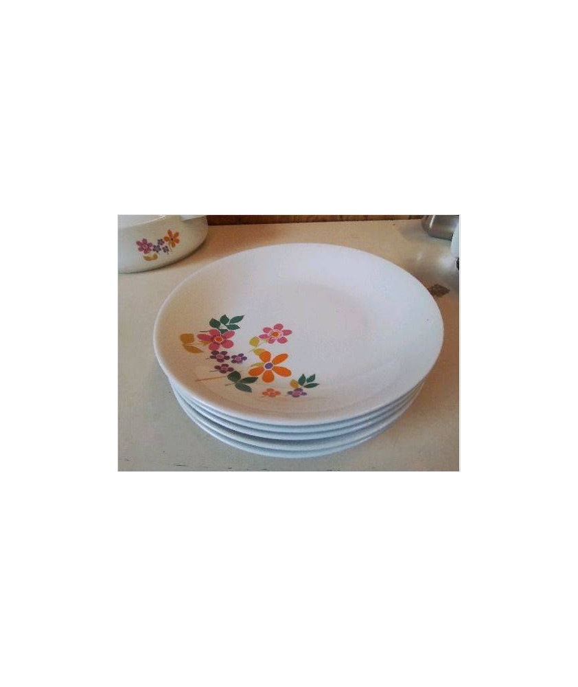 LOT 5 ASSIETTES ANNEE 70
