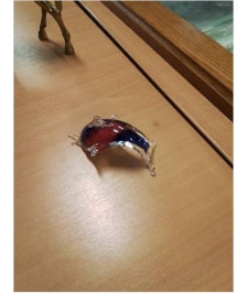 DAUPHIN VERRE