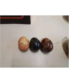 OEUF 