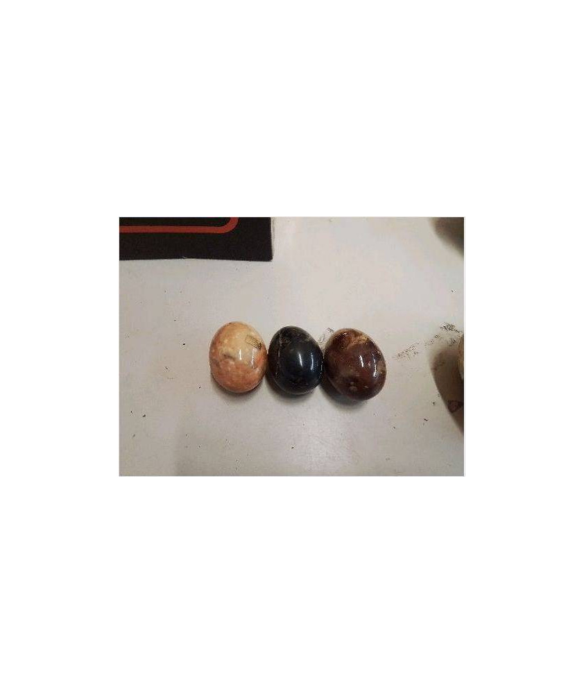 OEUF 