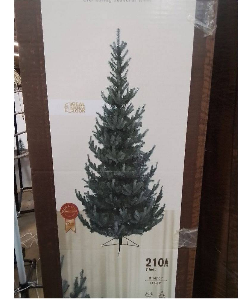 SAPIN