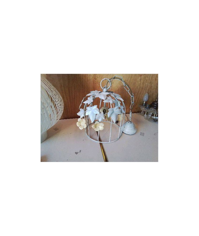 SUSPENSION CAGE AU LIERES