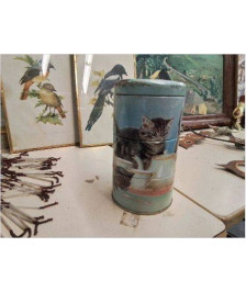 BOITE DECO AUX CHATS