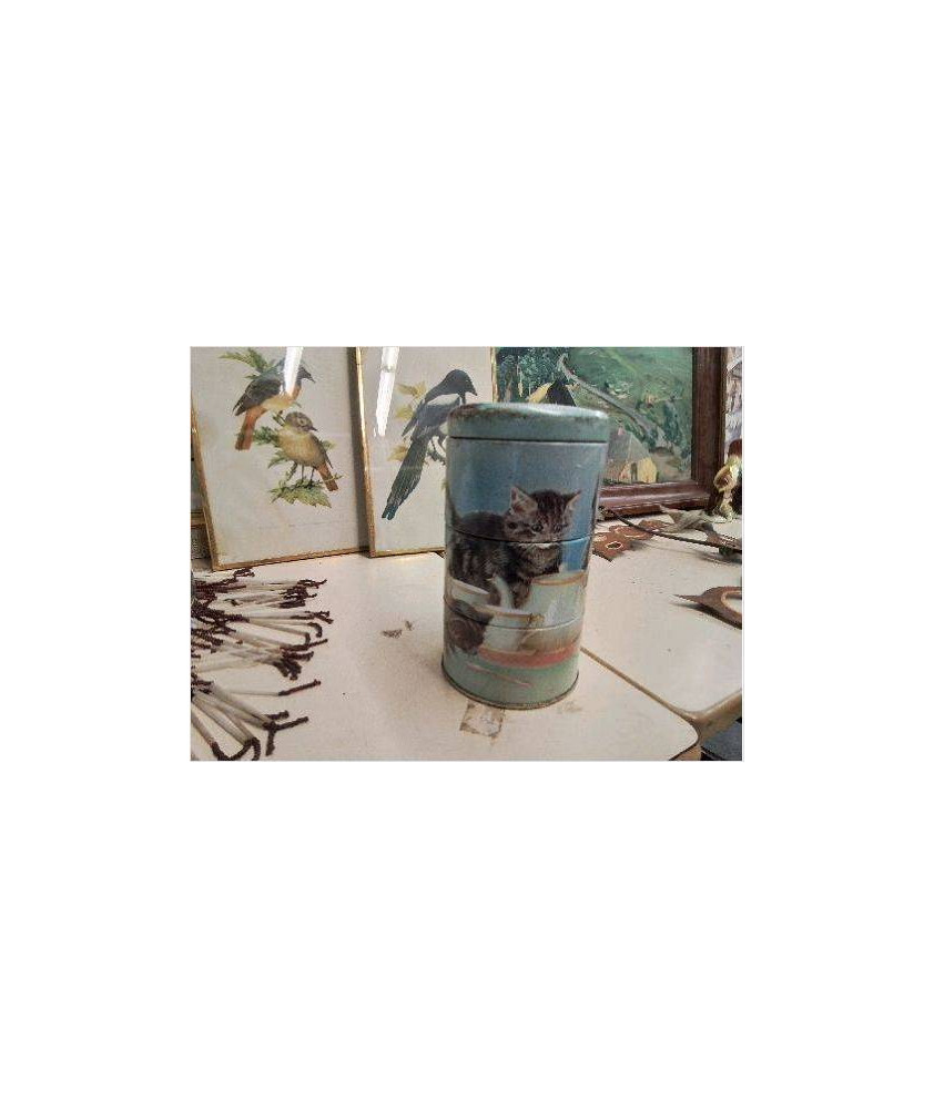 BOITE DECO AUX CHATS