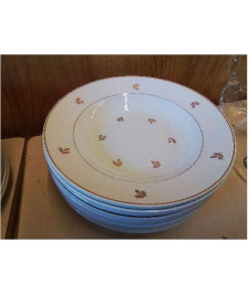 LOT DE 10 ASSIETTES CREUSES