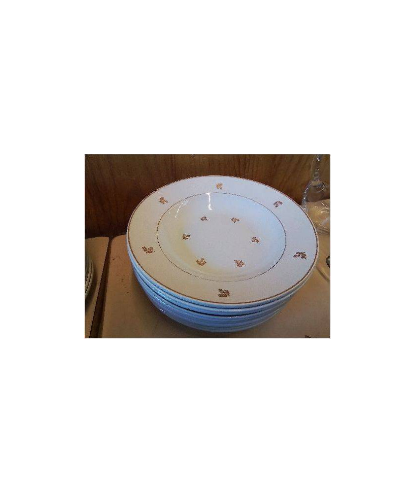 LOT DE 10 ASSIETTES CREUSES