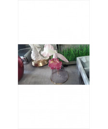 DECO CLOCHE EN L\'ÉTAT 