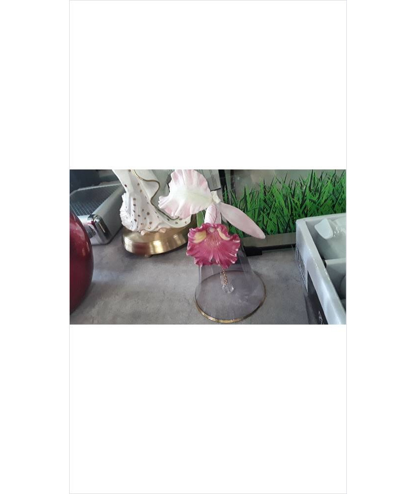 DECO CLOCHE EN L\'ÉTAT 