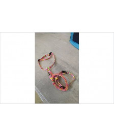 COLLIER + LAISSE 