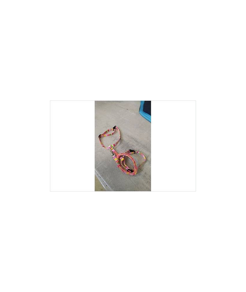COLLIER + LAISSE 