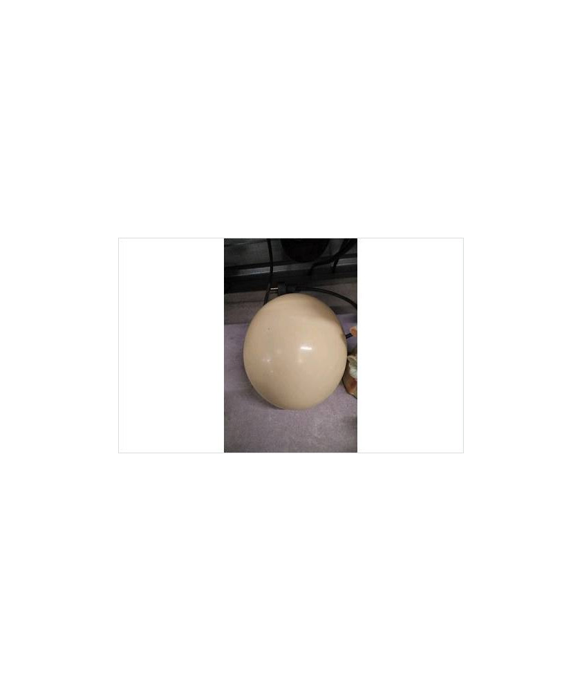 DECO OEUF AUTRUCHE