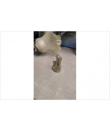 SALIERE CYGNE 